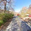 Tree blocking road on Amos Grove Road