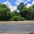 Small branch blocking lane on FM 95