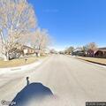 Loose dog reported between Aberdeen and Cuddy Circle