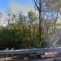 Tree blocking roadway on Highway F in Defiance