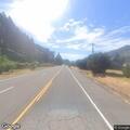 Bear in roadway on Highway 126 near milepost 32