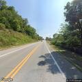 Deer carcass blocking lane on Washington Street
