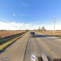 Cow reported on highway near Hamlin