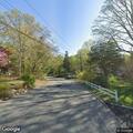 Car and deer collision on Pine Hill Road
