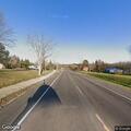 Cow blocking traffic on Highway 200