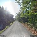 Speeding sedan flees after deer shooting report