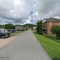 Loose dog reported roaming on Hazelwood Avenue