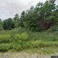 Loose dog reported on Log Cabin Road