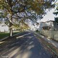 Stray dog reported on Linden Avenue