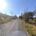 Injured deer blocking road on Halfway Road
