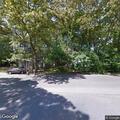 Tree blocks Oak Street and falls on vehicle