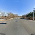 Stray dog creating road hazard on Route 6