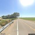 Cow loose on highway near CVS in La Junta