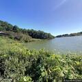 Man injured in bike crash at Waterworks Park boat docks
