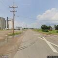 Goats eating crops near Highway 19 by Belpre