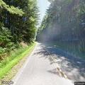 Cows blocking roadway near Wildwoodies