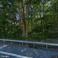 Tree falls on car near Trapps Bridge