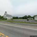 Stray dog creating road hazard on Route 4