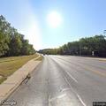 Injured deer in roadway on Conant Street