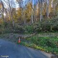 Tree blocking roadway on Coopers Bottom Road