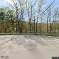 Tree blocking road at Soap Hollow and Moonlite Park