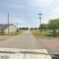 Loose cattle reported on rural road