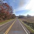 Single-vehicle crash with bear struck and killed