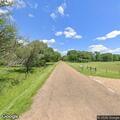 Loose calf running in roadway on County Road 151