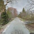 Tree blocking roadway in East Shoreham