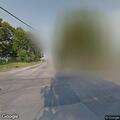 Loose dogs running in roadway near post office