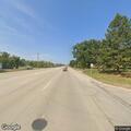 Loose dogs creating traffic hazard on Highway 31