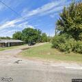Cow loose near Brent Cemetery on roadway