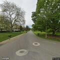 Low tree branch tangled in power lines reported