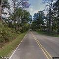 Fallen tree blocking road near Cotton Acres