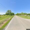 Cow blocking roadway near Highway 9 and Neely Street