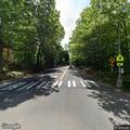 Officers check report of injured deer on roadway
