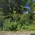 Loose mastiff-type dog near Cross Country Road