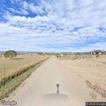 Cows walking in roadway on Nacimiento Road