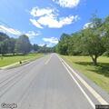 Loose dog reported near West Main Street cemetery