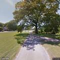 Tree down with honeybee hazard on Steele Street