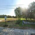 Dog hit by car on Walnut Hill Road