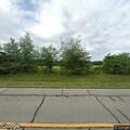 Cows reported standing by road on Corinth Road