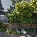 Woman reported taking cushions from backyard
