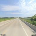 Cows reported near roadway on Highway 83