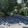 Low-hanging tree branch blocking roadway