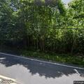 Tree branch on power lines on Bridgeton Road