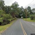Loose dog reported in roadway on Thurlow Street