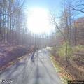 Deer stuck in fence on Simmons Mountain Road