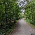 Large tree blocking County Road 1 in Fifty Lakes