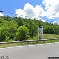 Vehicle hits deer on Route 42 in Bland